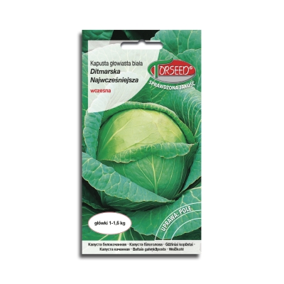 Kapusta głowiasta biała Ditmarska najwcześniejsza